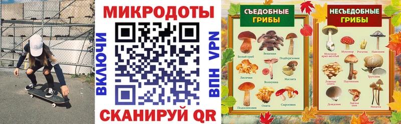 кракен зеркало Лысково Галлюциногенные грибы мицелий